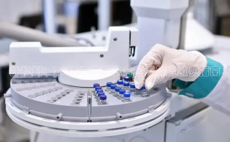 头号玩家官网登录